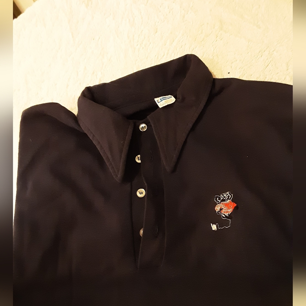 True Vintage Wisconsin Badgers Champion Blue Bar sport shirt